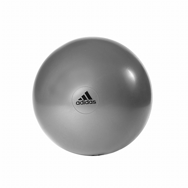 Gymball - 55cm DGH Solid Grey